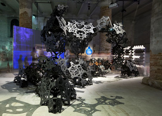 The Venice Architecture Biennale