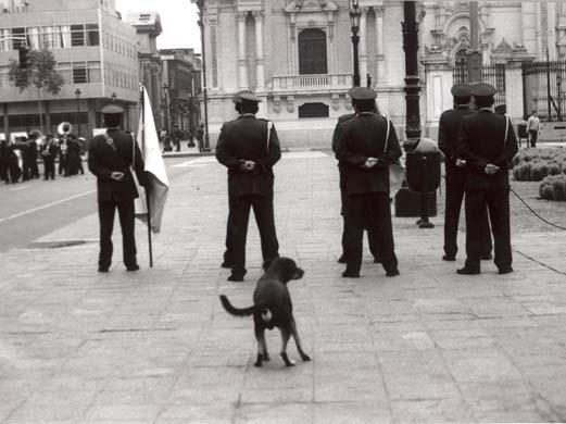 Dog and authority by Javier, 24, from Peru