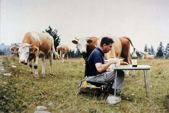 pictures by Denis Healey