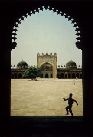 pictures by Denis Healey