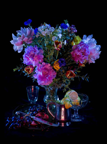 Untitled, C-type print