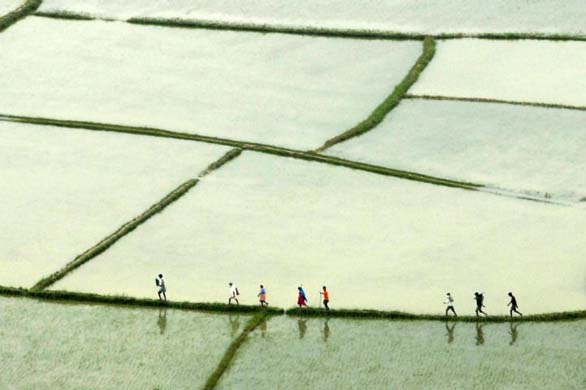 A group of people walk on flooded land near Bathanwa Village