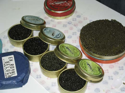 Caviar, including Beluga caviar