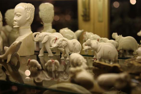 Elephant ivory products
