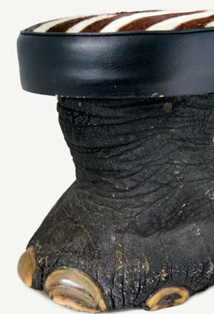 An elephant foot product