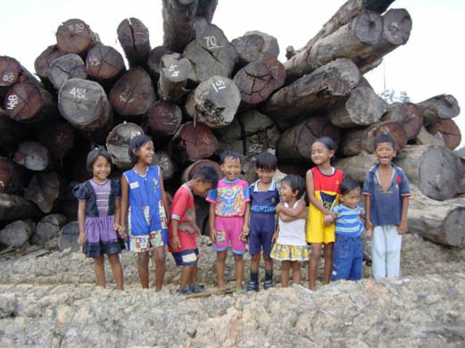 Local children by felled logs