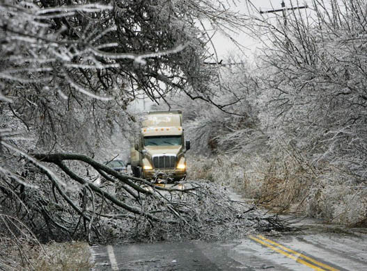 Fallen tree limbs cover road in Oklahoma