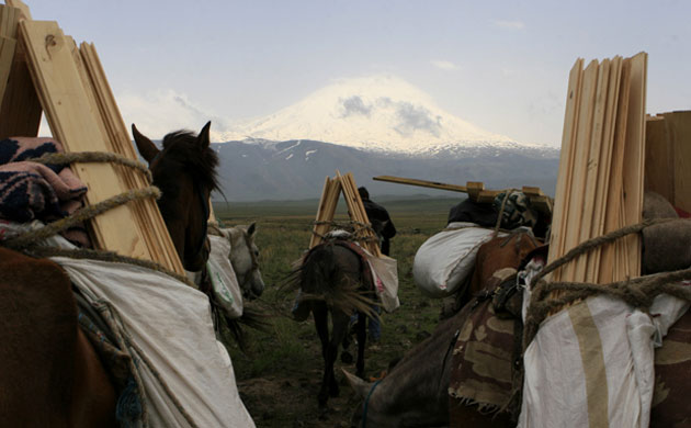 Greenpeace Noah's ark