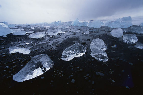 World Environment Day