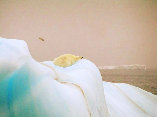 World Environment Day