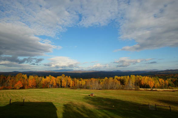 Autumn leaves near the Green mountains