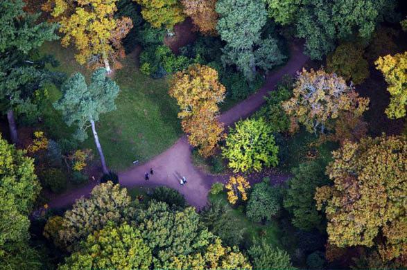 Visitors walk among the trees in the grounds of Westonbirt arboretum