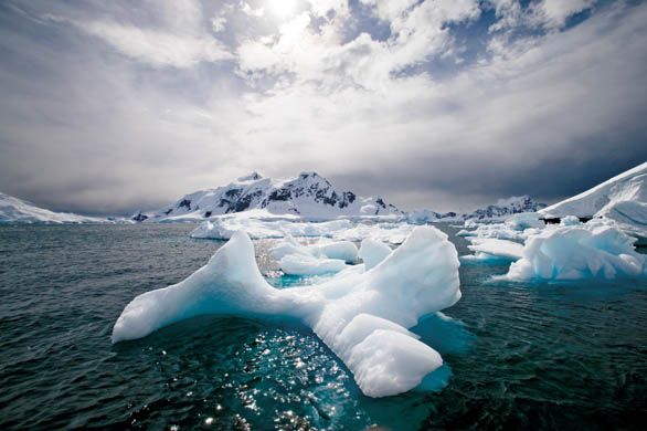 Antartica