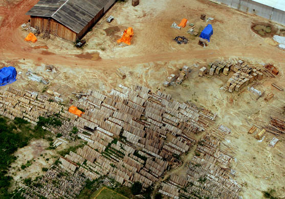 Amazon deforestation