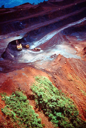 Amazon deforestation