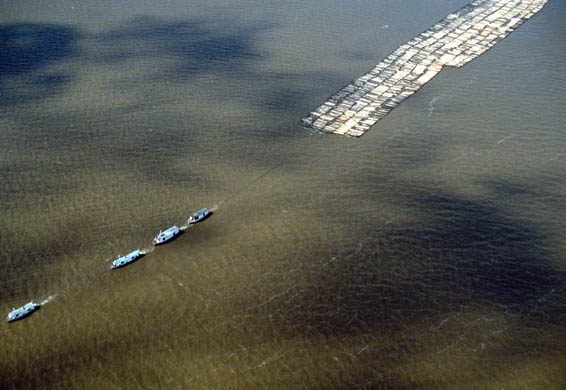 Amazon deforestation