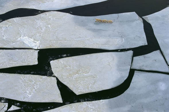 Flying over the Hudson Bay