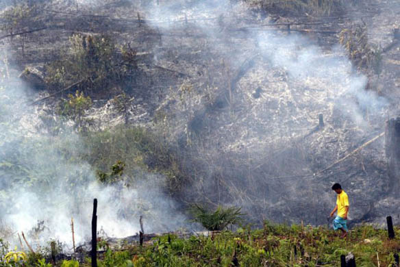 A man walks past smoldering forest lit for land-clearing