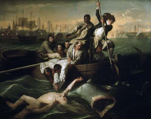 Copley: Watson and the Shark