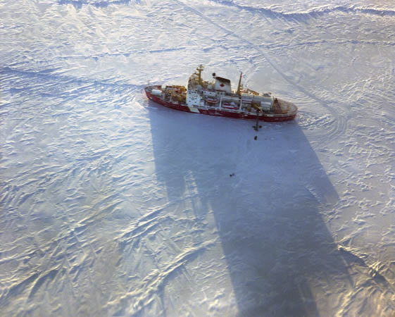 Battle for the Arctic