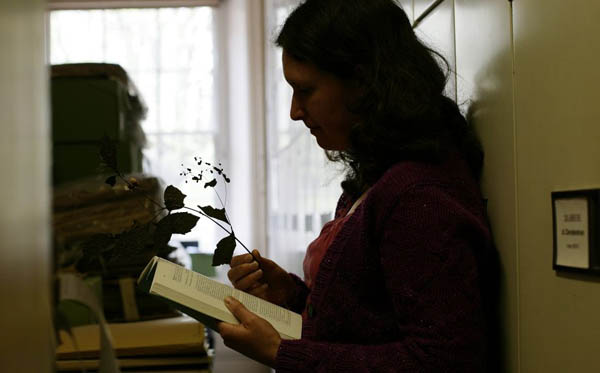 Herbarium at Kew Gardens