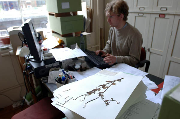 Herbarium at Kew Gardens