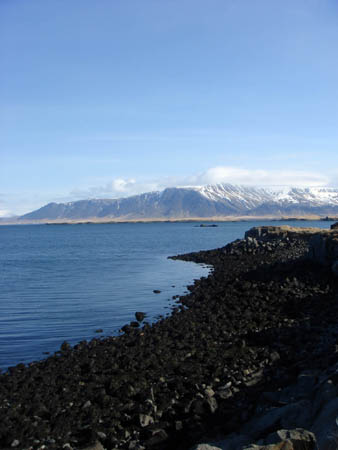 Iceland coastline