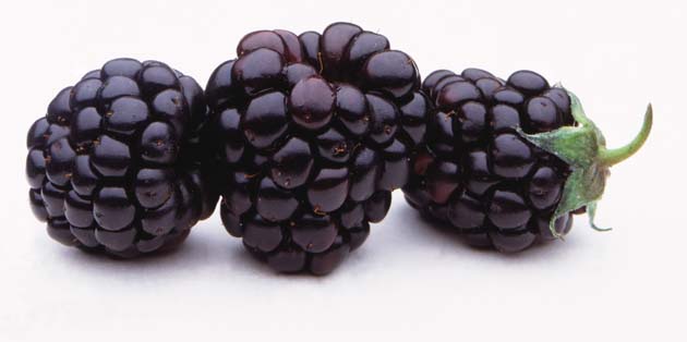 Blackberries