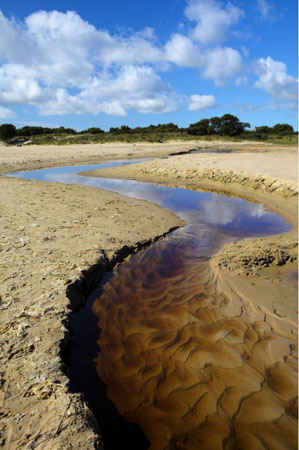 Studland Beach, Dorset 