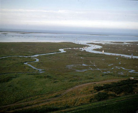 Blakeney National Nature Reserve, Norfolk 