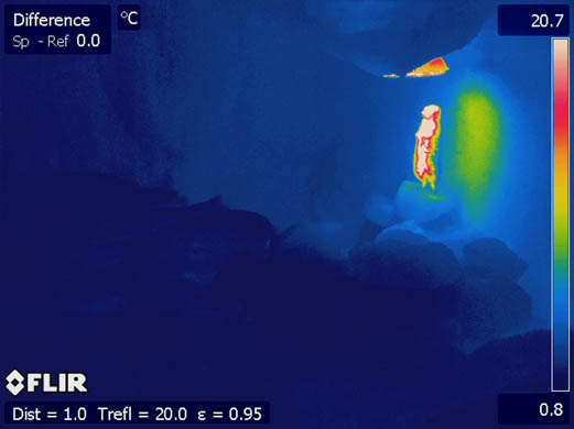 Fatty the Meerkat enjoys a turn under his heatlamp