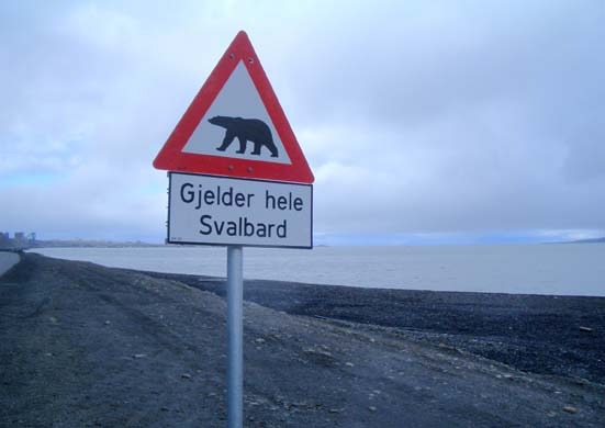 Polar bear sign