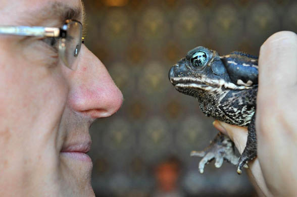 Charles Walker MP with a roccoco toad