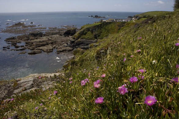 Lizard Peninsula in Cornwall