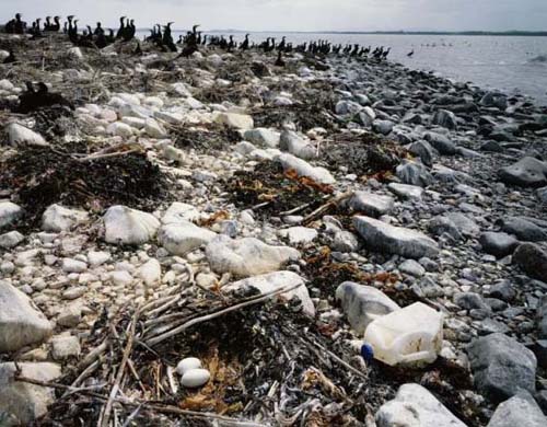 Coastal Erosion in Northern Ireland