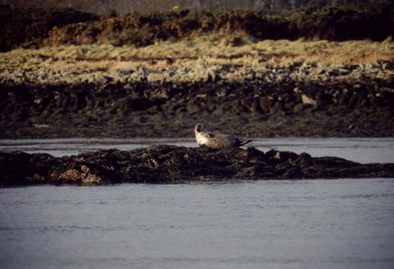 Coastal Erosion in Northern Ireland