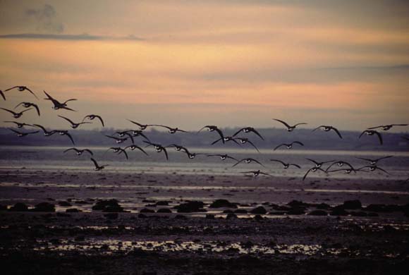 Coastal Erosion in Northern Ireland