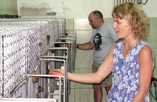 88 capuchins saved from Chilean lab