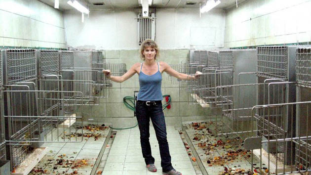 88 capuchins saved from Chilean lab