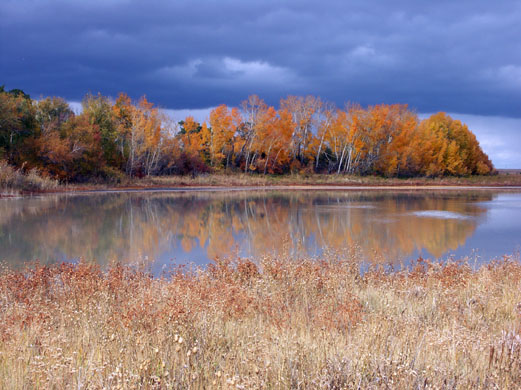 Saryarka - Steppe and Lakes of Northern Kazakhstan, Kazakhstan