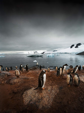 Sebastian Copeland