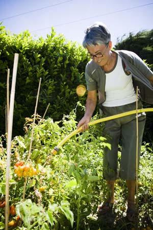 Tricastin nuclear plant