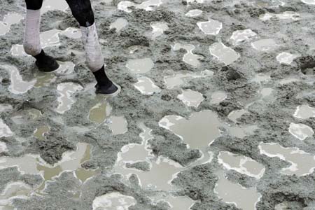 Horses hooves at Belmont tracks
