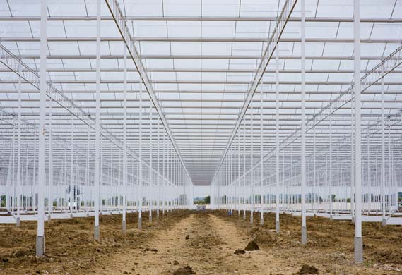 Inside the Red Star greenhouse