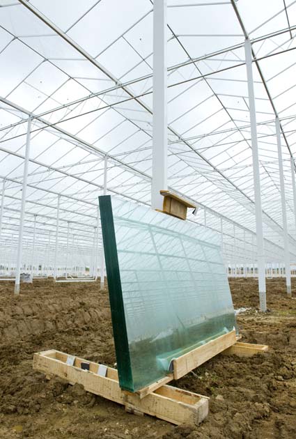 Panes of glass waiting to be put into the roof of the Red Star greenhouse 