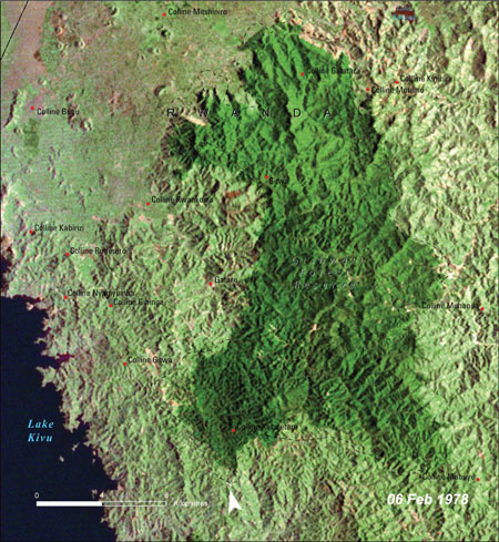 Gishwati forest 1978