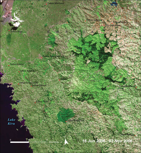 Gishwati forest 2006