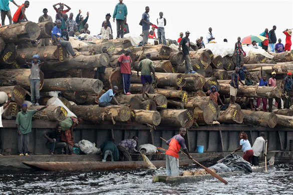 A log barge travels down the Lukenie River to Kinshasa