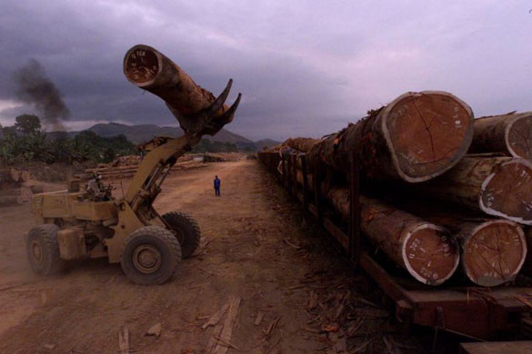 Logs of wood are loaded onto a train in Gabon