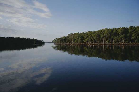 Clouds and shoreline trees reflect in an Everglades canal